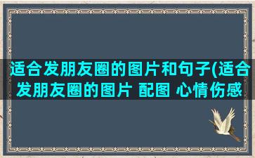 适合发朋友圈的图片和句子(适合发朋友圈的图片 配图 心情伤感)